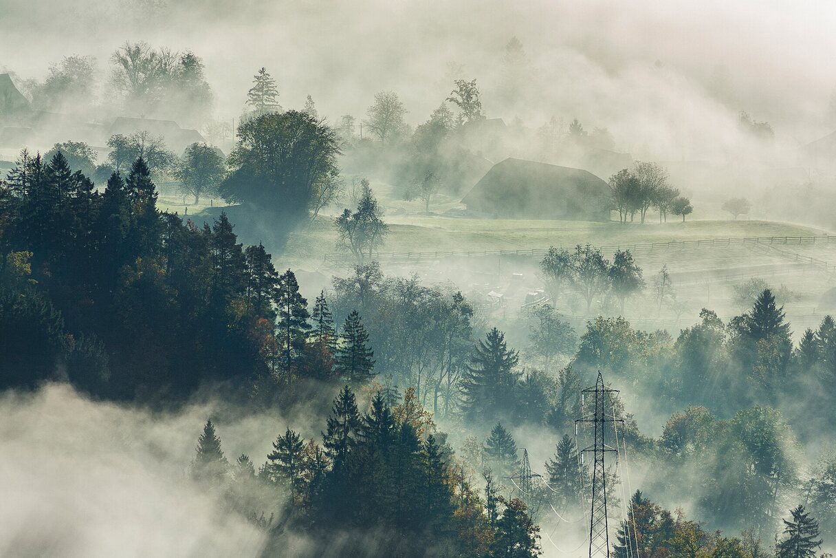 Transmission towers rising out of fog above a forested valley.
